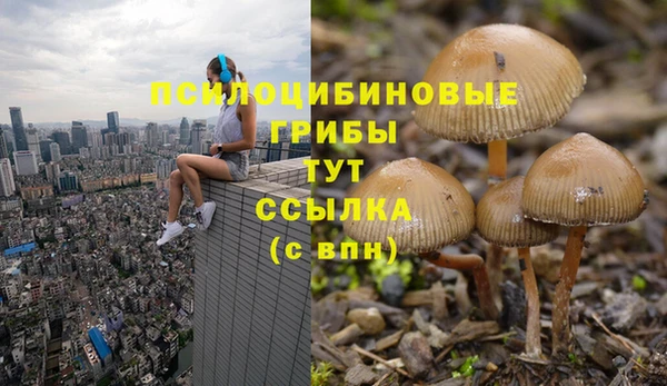 а пвп мука Баксан