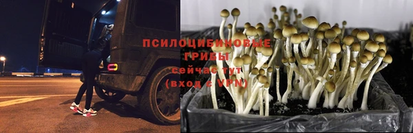гидра Балабаново