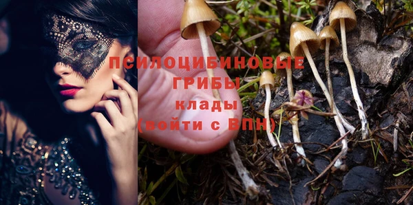а пвп мука Баксан