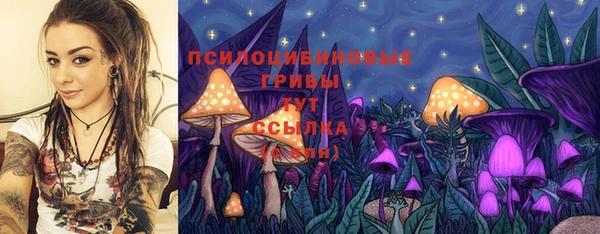 а пвп мука Баксан